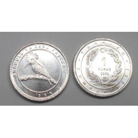 TURKEY 1 Kurus 2020 Ibibik