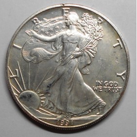 USA 1 Dollar Oncia 1991 AG