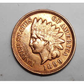 USA 1 Cent 1899 Indian Head