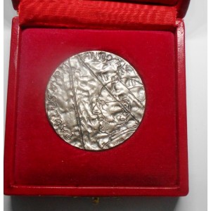 MEDAGLIA PAOLO VI ANNO XIV AG