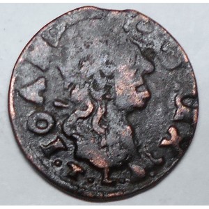 Boratynka coin...