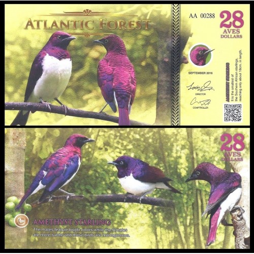 ATLANTIC FOREST 28 Aves...