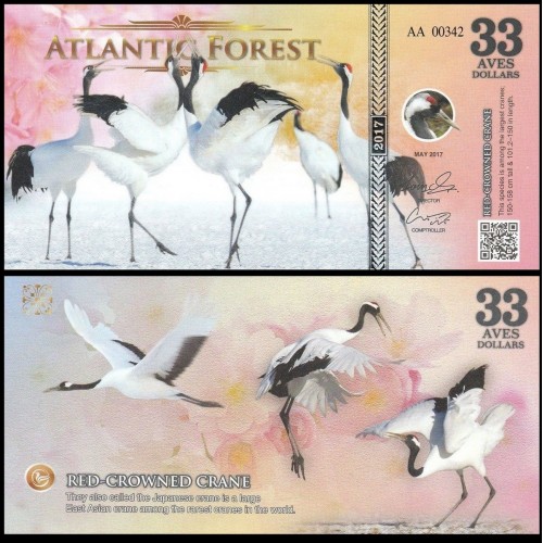 ATLANTIC FOREST 33 Aves...