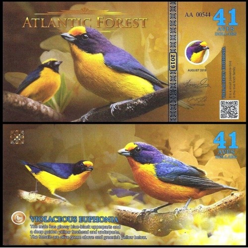 ATLANTIC FOREST 41 Aves...